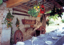 Italy-Tuscany-Western Riding in Tuscany